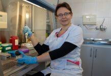 Przełomowa metoda diagnozowania przewlekłej białaczki opracowana w USK w Rzeszowie