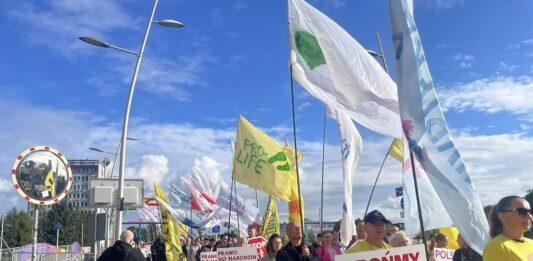 marsz-dla-zycia-i-rodziny