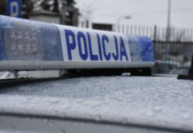 policja