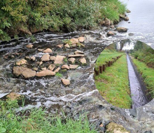 Alarm w sprawie zanieczyszczenia Sanu na Podkarpaciu. Co wykazała interwencja WIOŚ?