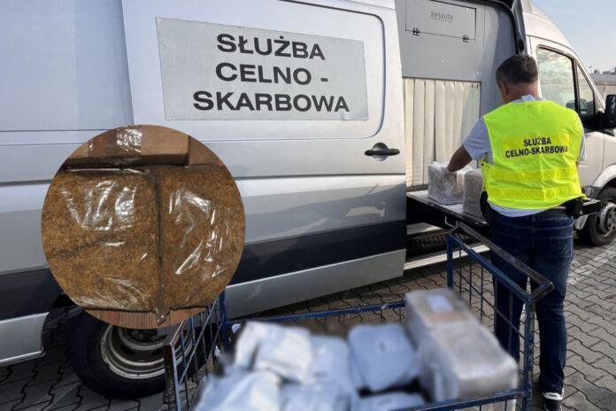 tyton-nielegalny-kas