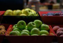 Oferta pracy: Kontroler jakości do magazynu warzyw i owoców w Rzeszowie