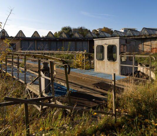 Kultura zamiast płotu, zardzewiałe hale miejscem dla ludzi. Parowozownia w Rzeszowie wraca do życia