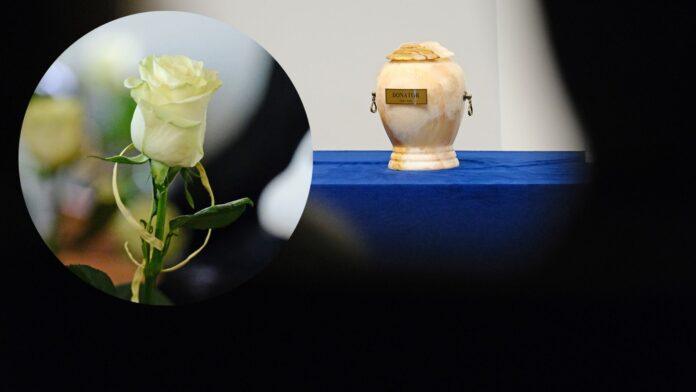 Projekt bez nazwy (3)