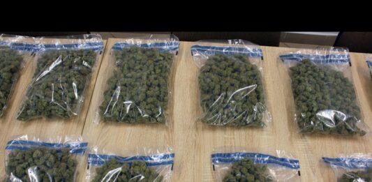 27-latkowi grozi do 12 lat więzienia za wprowadzanie w obieg znacznej ilości narkotyków