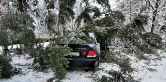 drzewo spadło na samochód podkarpacie