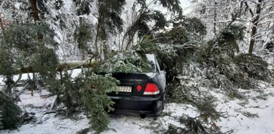 drzewo spadło na samochód podkarpacie