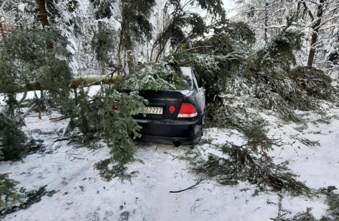 03 - oszukac-przeznaczenie-podkarpacie-widacz drzewo spadło na samochód podkarpacie