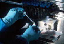 Oferta pracy: Asystent w laboratorium kryminalistycznym w Rzeszowie