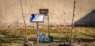 Jabłoń Józefa Ulmy trafiła na Słowację