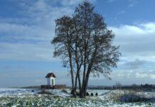 Podkarpacie - kraina kapliczek i krzyży przydrożnych? Fenomen kulturowy, który znika po cichu