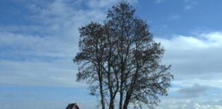 Podkarpacie - kraina kapliczek i krzyży przydrożnych? Fenomen kulturowy, który znika po cichu