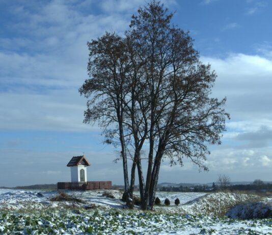 Podkarpacie - kraina kapliczek i krzyży przydrożnych? Fenomen kulturowy, który znika po cichu