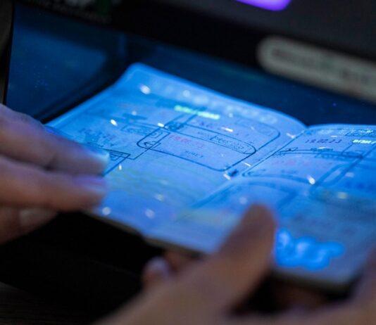 24-letnia Ukrainka z fałszywymi stemplami w paszporcie