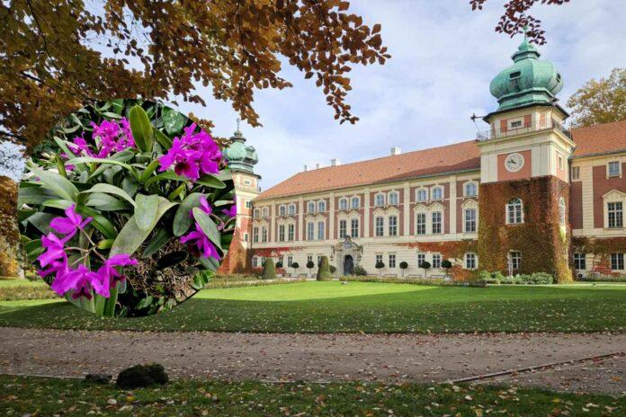 muzeum-zamek-lancut-storczyk