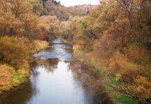 Polsko-ukraińskie rzeki płynące przez Podkarpacie pod lupą. Eksperci poszukają toksycznych substancji