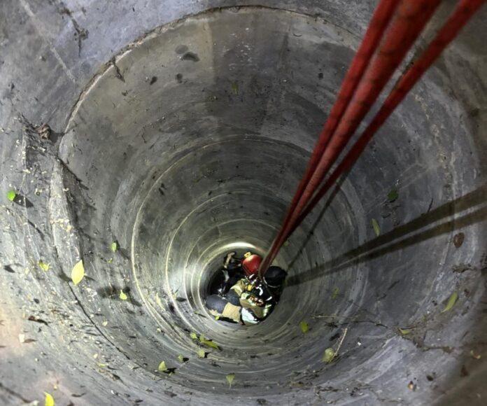 Koza wpadła do studni. Zwierzęcia nie udało się uratować