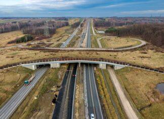 S19 Sokołów-Jasionka