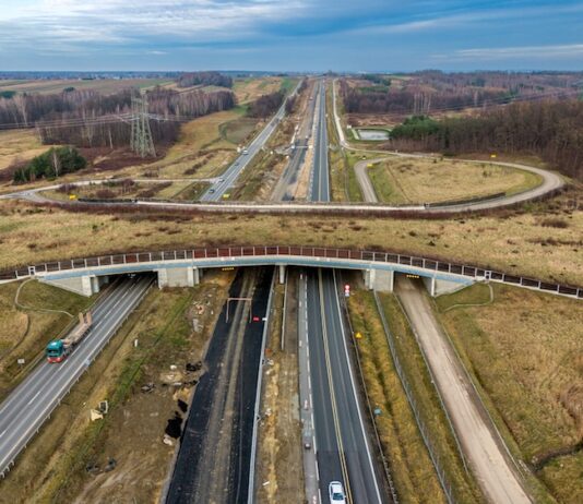 S19 Sokołów-Jasionka