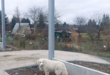 ekrany akustyczne rzeszów