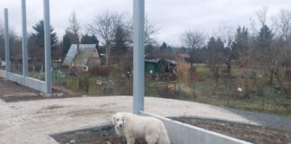 ekrany akustyczne rzeszów