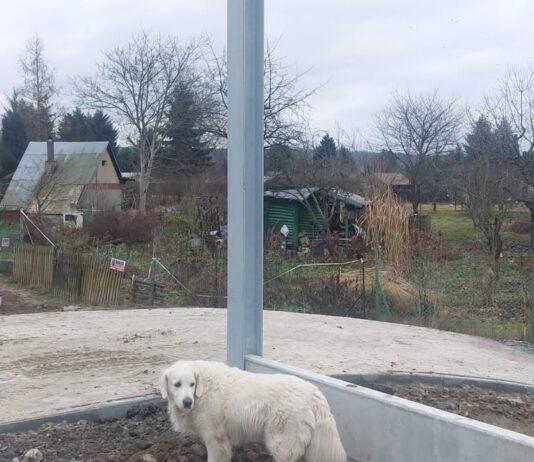 ekrany akustyczne rzeszów