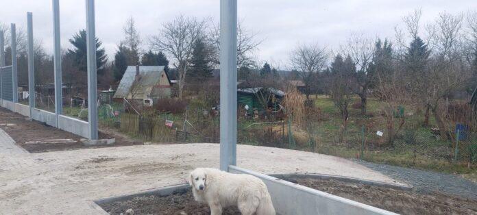 ekrany-rzeszow-04 ekrany akustyczne rzeszów