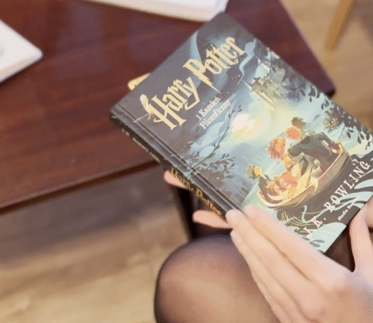 Rzeszowianka Kaja Bajowska zilustrowała nowe wydanie kultowej serii książek o Harrym Potterze Harry Potter - nowe wydanie