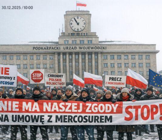 protest pod urzędem wojewódzkim
