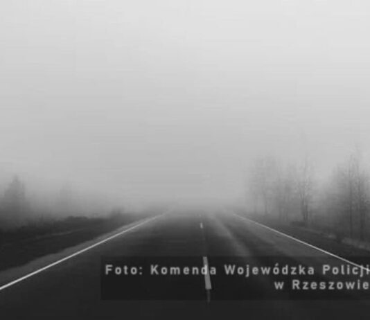 mgła na drodze