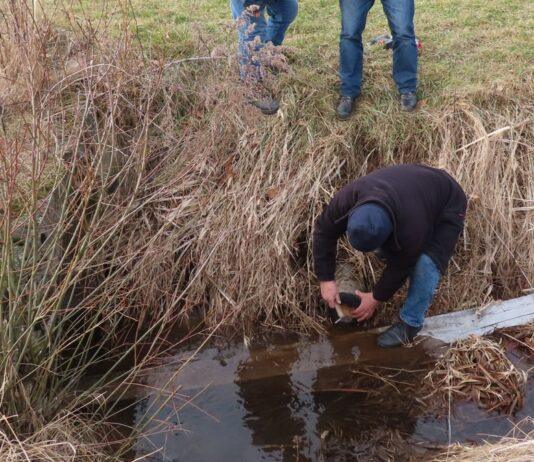 nielegalne wyloty ścieków