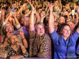 Rzeszów tętni kulturą. Co dzieje się w ten weekend w stolicy Podkarpacia? Senioralia