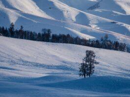 Oblodzenie szlaków i zagrożenie lawinowe. Trudne warunki w Bieszczadach Bieszczady w zimie