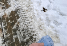 Rzeszów tonie w psich odchodach? Mieszkańcom puszczają nerwy na widok „Przebiśniegów”