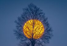 Z aparatem przez „małą ojczyznę”. Niezwykły rok w obiektywie Witolda Ochała Witold Ochał - wschód Księżyca nad Podkarpaciem