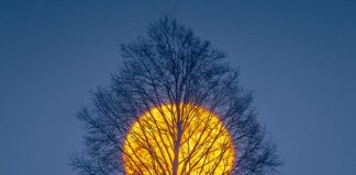 Witold Ochał - wschód Księżyca nad Podkarpaciem