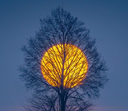 Z aparatem przez „małą ojczyznę”. Niezwykły rok w obiektywie Witolda Ochała Witold Ochał - wschód Księżyca nad Podkarpaciem