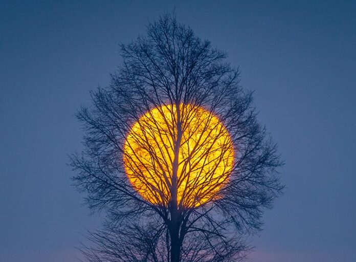 witold-ochał-2025-11-Wschodzący księżyc w pełni Witold Ochał - wschód Księżyca nad Podkarpaciem