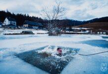 Wojska Obrony Terytorialnej