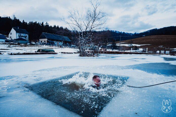 Wojska Obrony Terytorialnej