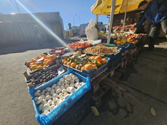 targowidsko na placu balcerowicza