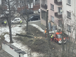 słowackiego rzeszów patodeweloperka