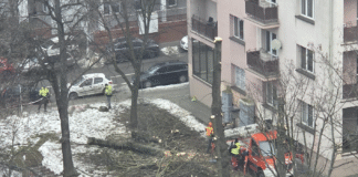 słowackiego rzeszów patodeweloperka