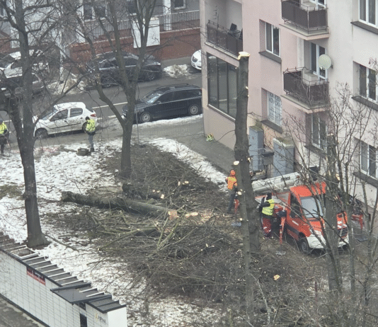 słowackiego rzeszów patodeweloperka