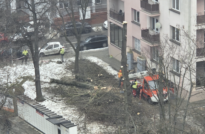 słowackiego rzeszów patodeweloperka