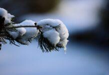 BdPN ostrzega. Trudne warunki na szlakach w Bieszczadach z powodu odwilży odwilż