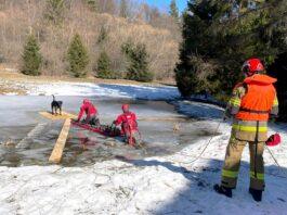 Dramatyczna akcja na stawie. Strażacy ratowali psa z lodowej pułapki pies na lodzie