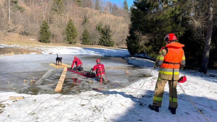 pies na lodzie KPP SP Ustrzyki Dolne pies na lodzie