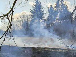 Pół hektara spalonej ziemi w Bystrem. Policja szuka podpalacza pożar bystre