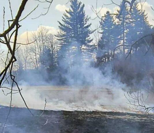Pół hektara spalonej ziemi w Bystrem. Policja szuka podpalacza pożar bystre